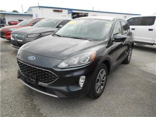 2022 Ford Escape sel