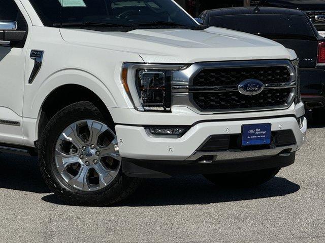 2021 ford f-150 platinum