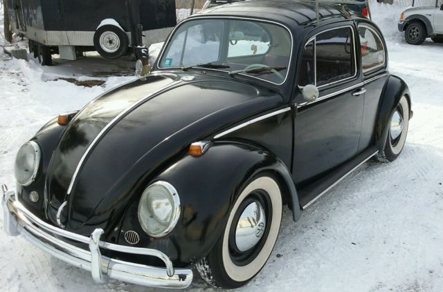 1967 vw bettle bug