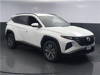 2024 Hyundai Tucson blue