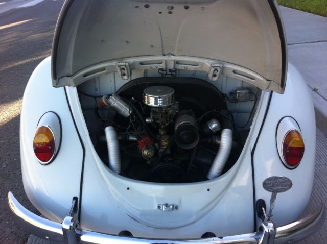 classic 1969 vw bug