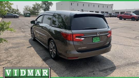 2023 Honda Odyssey (North America)