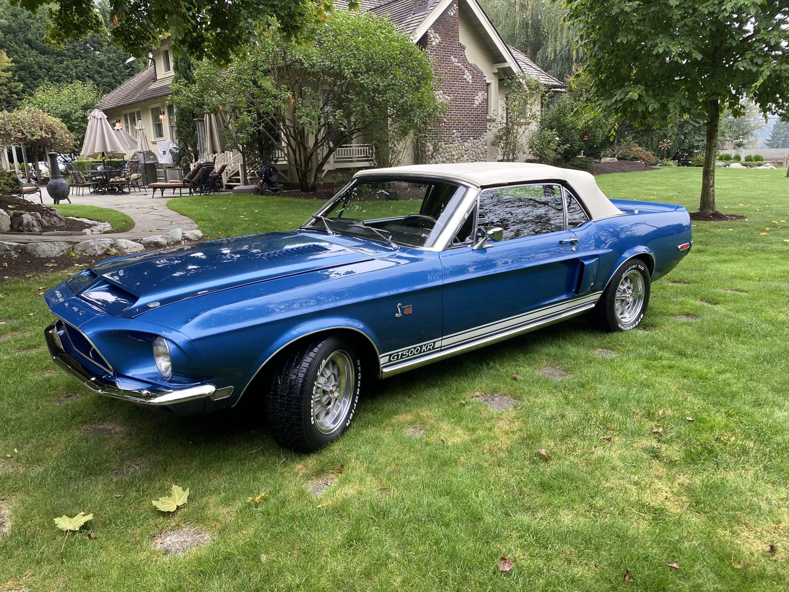1968 shelby gt500