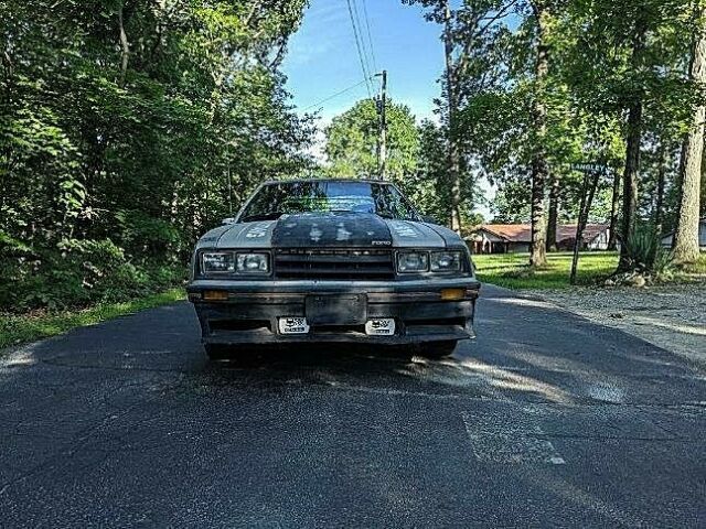 1979 ford mustang indy pace car (no reserve)
