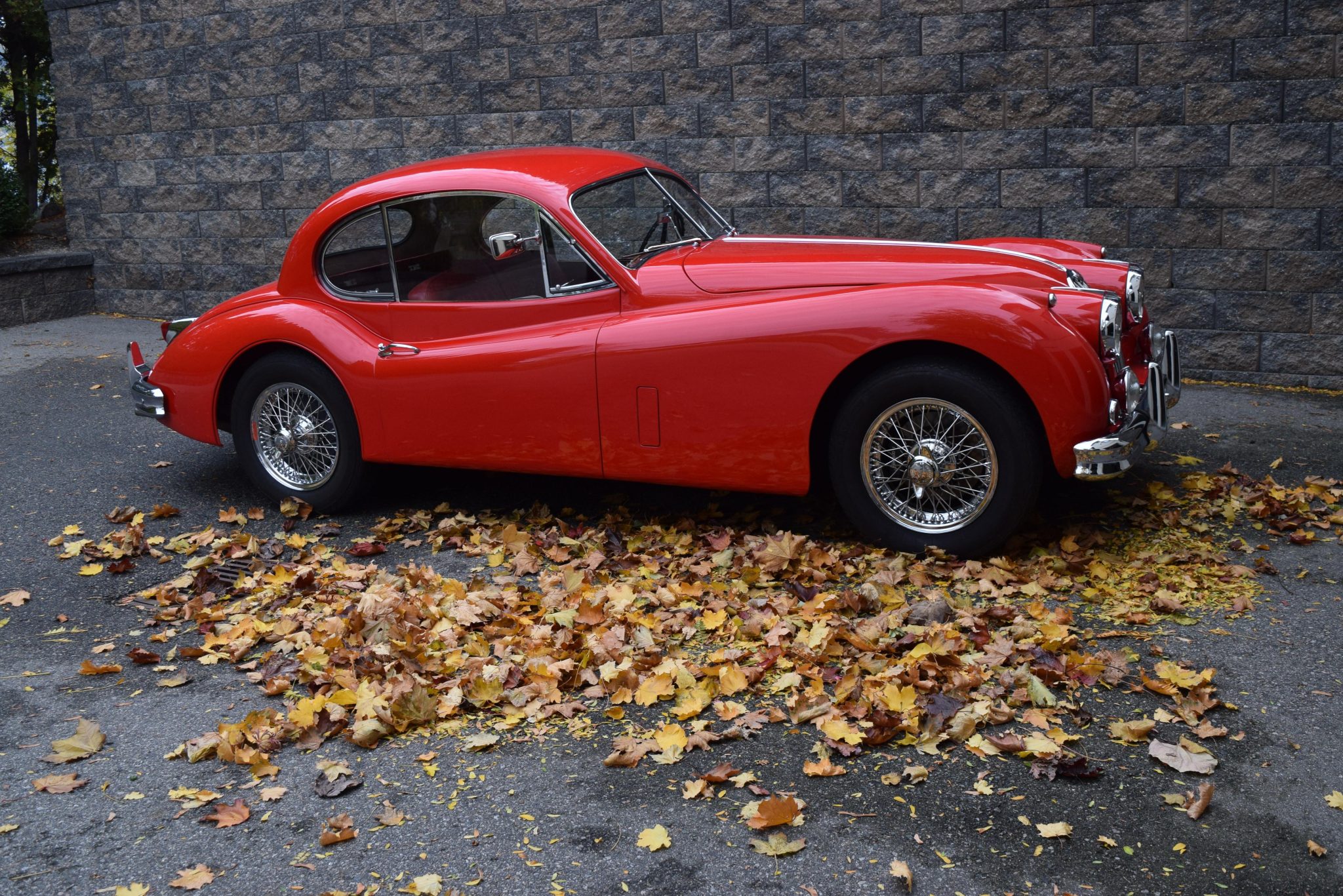 1955 jaguar xk140 fixed head coupe