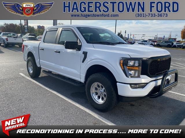 2023 ford f-150 xl
