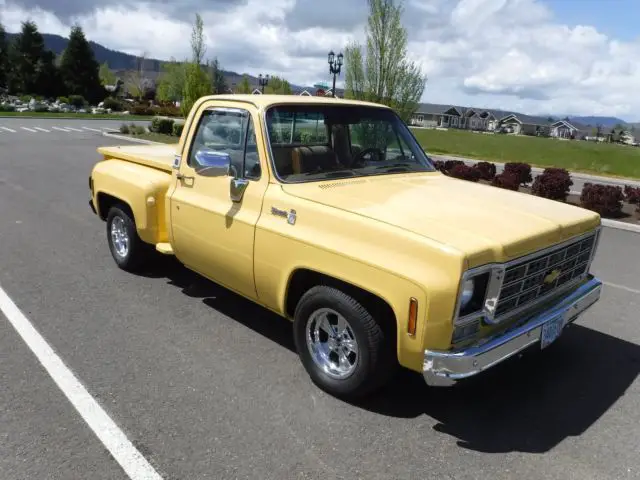 1977 chevrolet silverado half ton step side truck, no reserve