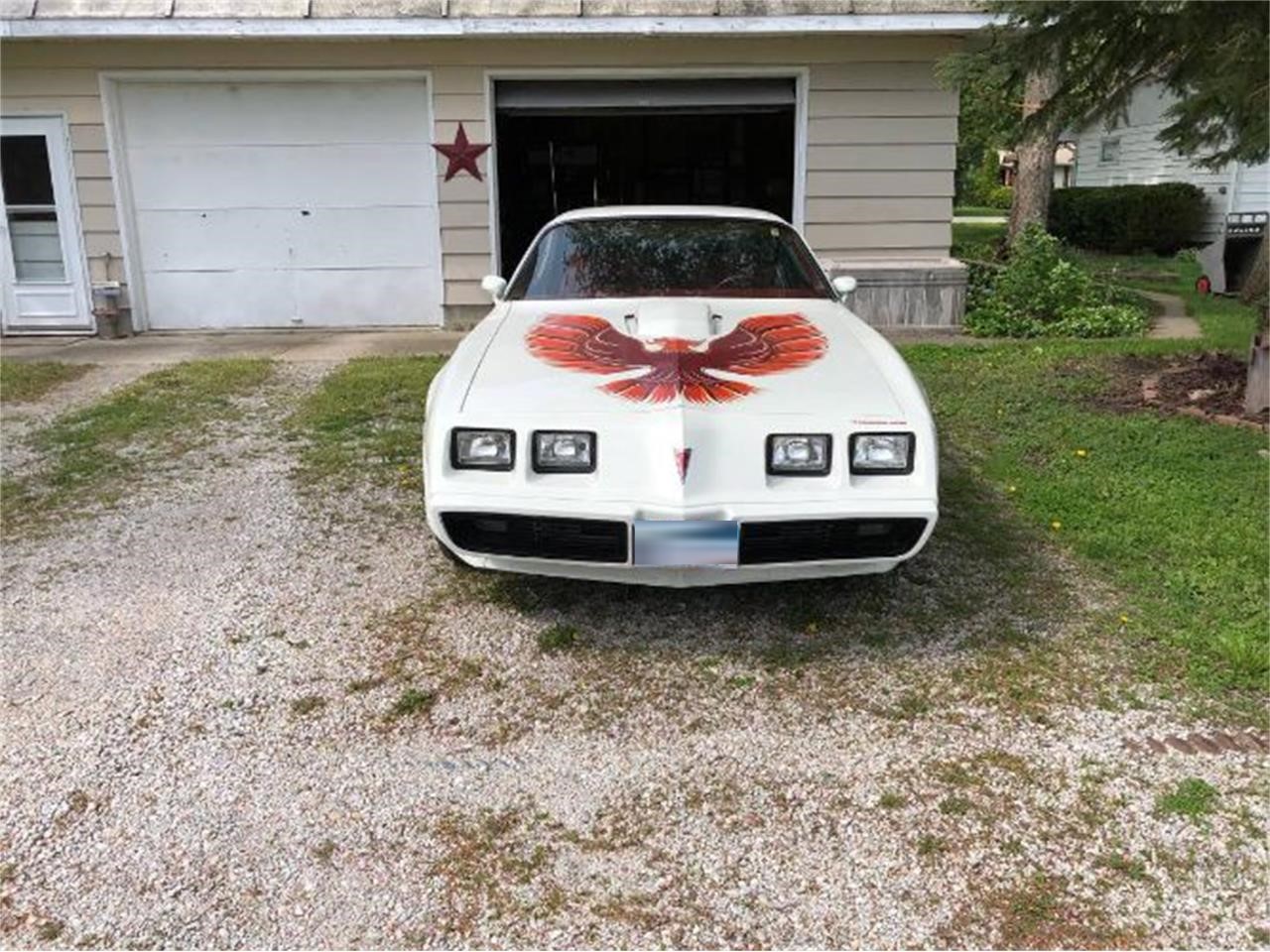 1979 pontiac firebird trans am