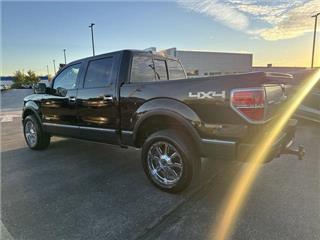 2014 Ford F-150 platinum