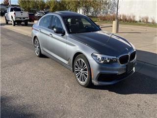 2020 BMW 5 series 530i xdrive