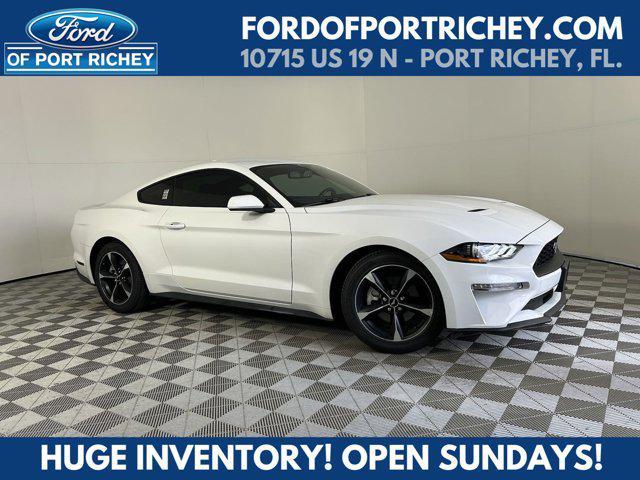 2020 ford mustang ecoboost
