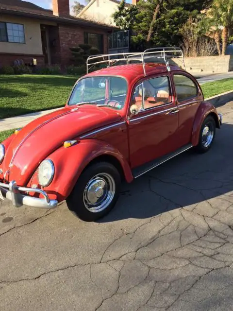 1966 volkswagon beetle restored bug