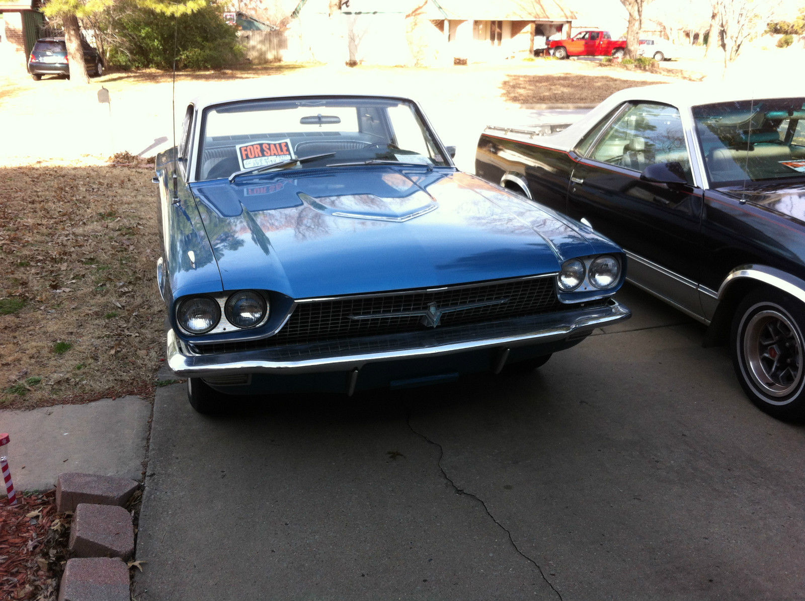 thunderbird