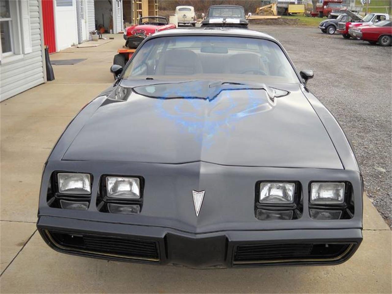1979 pontiac firebird trans am