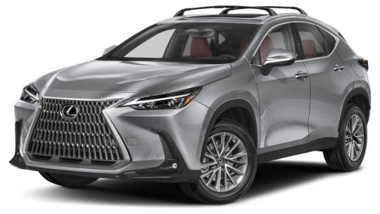 2024 Lexus NX