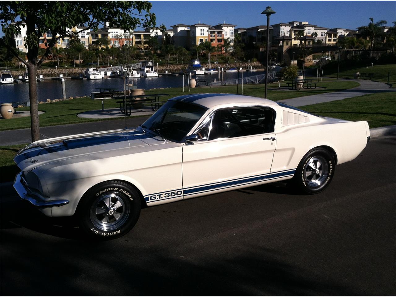 1965 shelby gt350