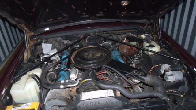 1981 cadillac