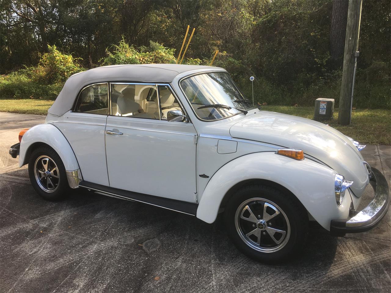 1979 volkswagen super beetle