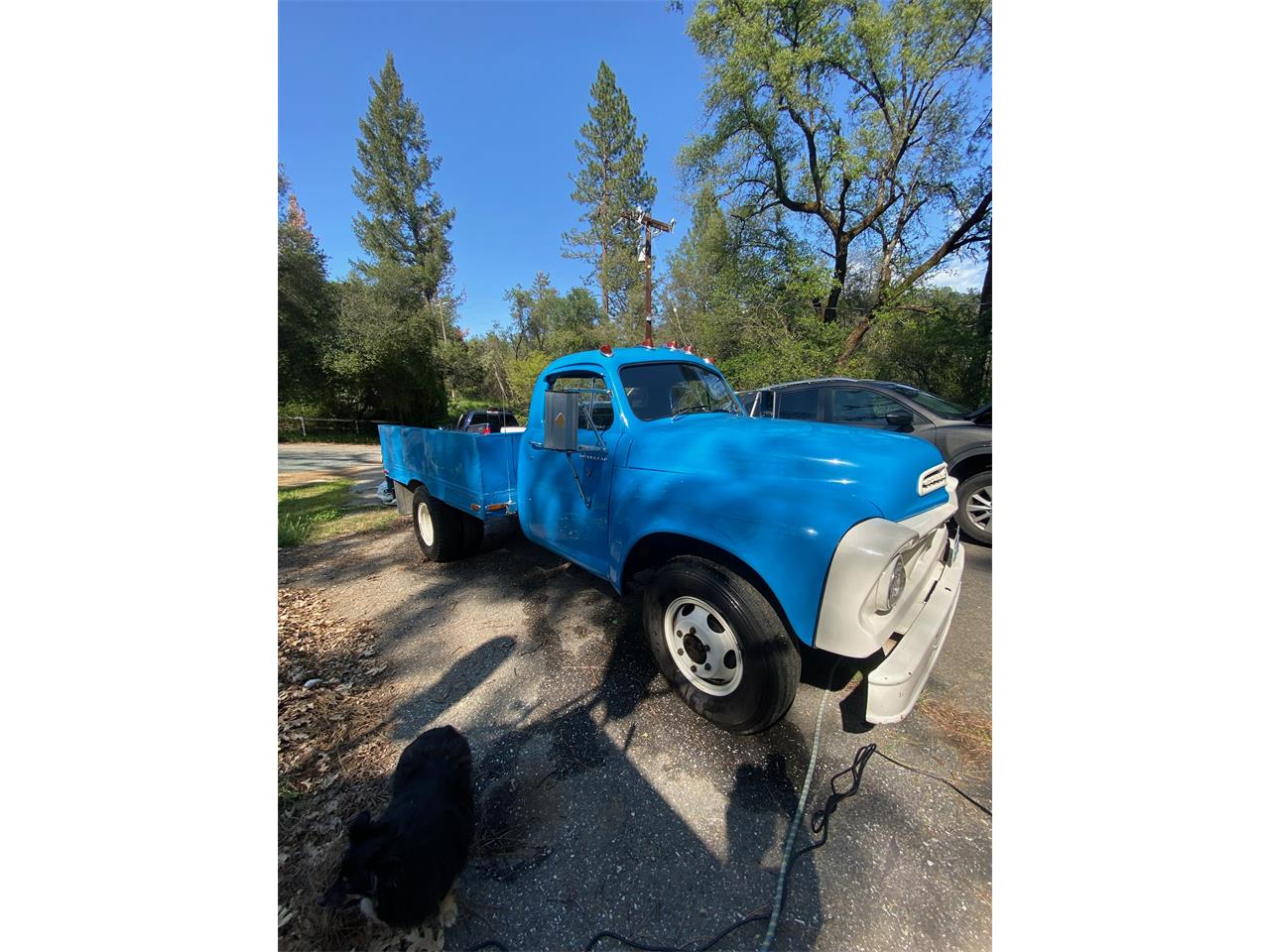 studebaker truck