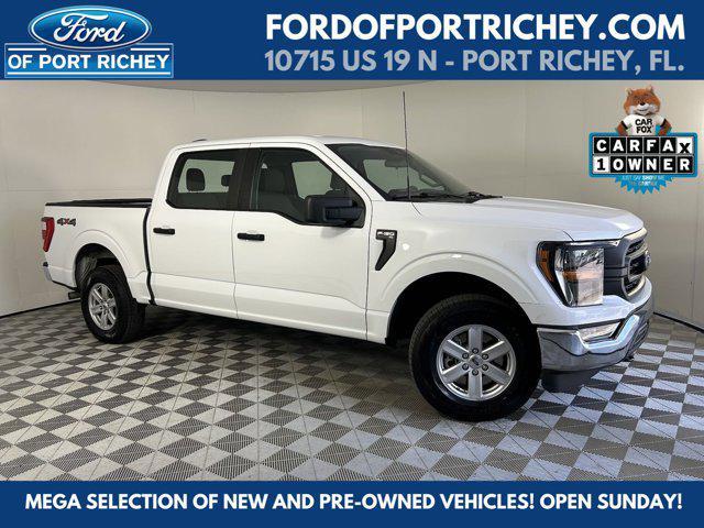 2023 ford f-150 xl