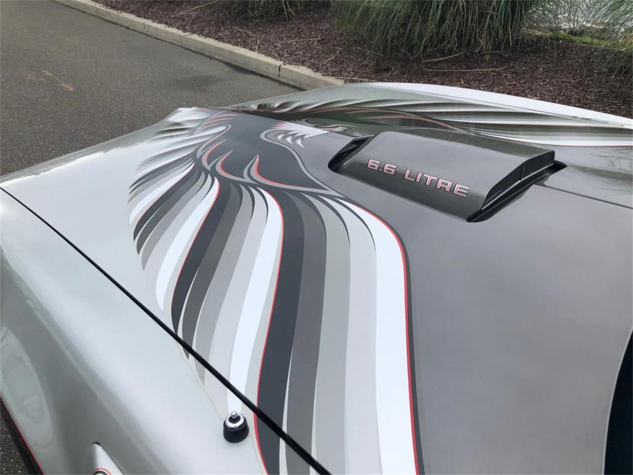 1979 pontiac firebird trans am