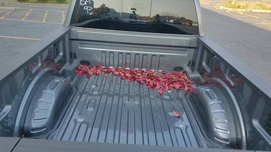 2024 Ford F-250