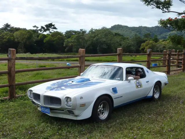 1972 pontiac firebird trans am 455 h.o