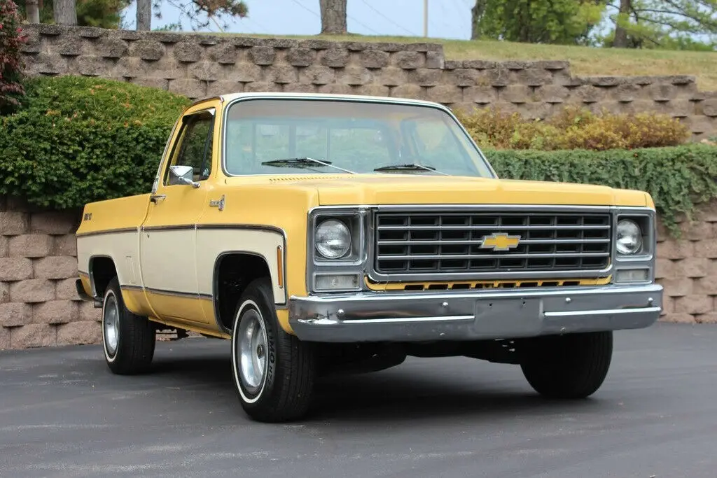 1979 chevy c10 big 10 bonanza,350ci v8,auto,ps,pdb,ac,c-10,clean survivor!!