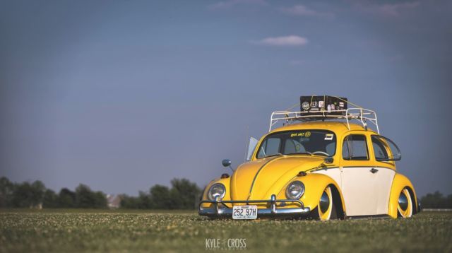 1964 volkswagen beetle- no reserve!