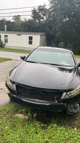 2009 honda accord ex-l