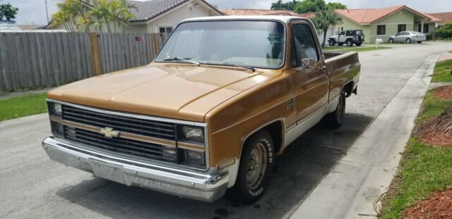 1984 chevy c-10 scottsdale swb