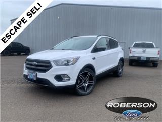 2019 Ford Escape sel