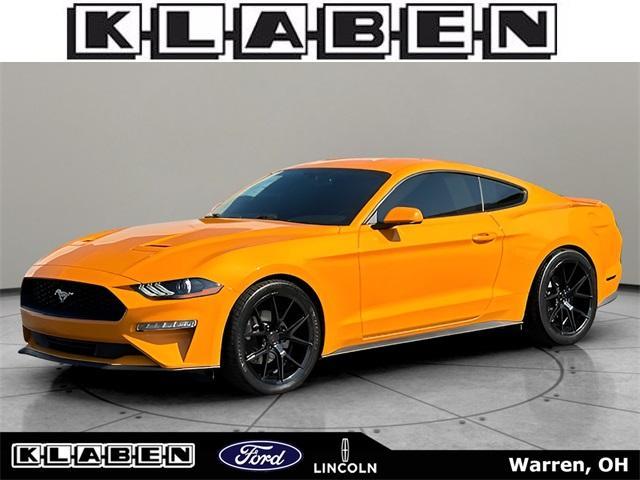 2019 ford mustang