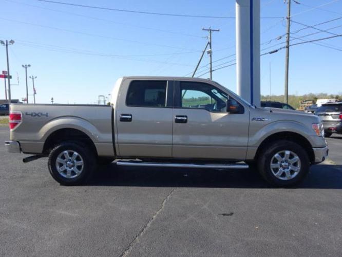 2014 ford f-150 xlt 4x4 xlt 4dr supercrew styleside 6.5 ft. sb for sale in ripley, west virginia