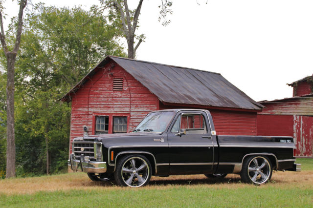 **c10**1 owner**350sbc**silverado**patina**shop truck**rat rod**square body**wow