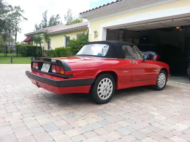 1988 alfa romeo spider quadrifoglioverde - fully restored!