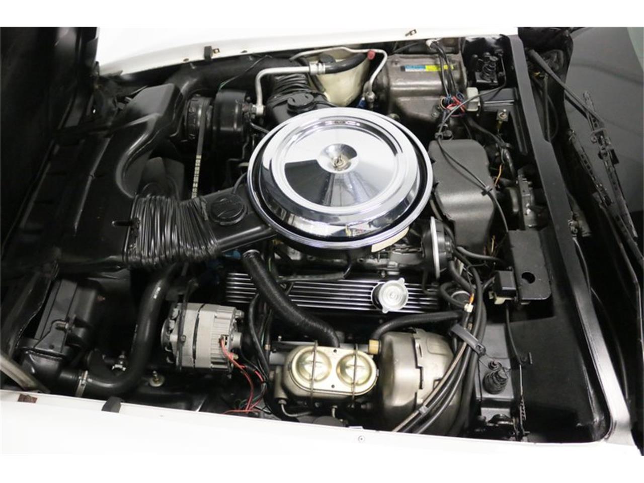 1981 chevrolet corvette