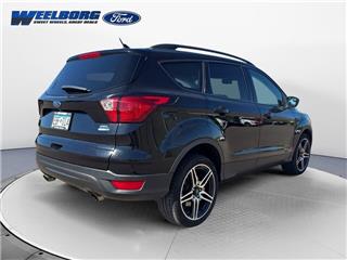 2019 Ford Escape sel