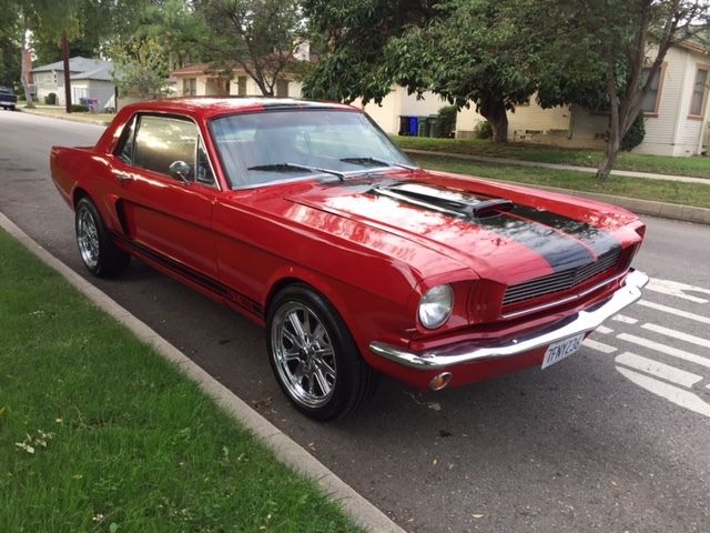 1966 ford mustang shelby tribute 289/v/8