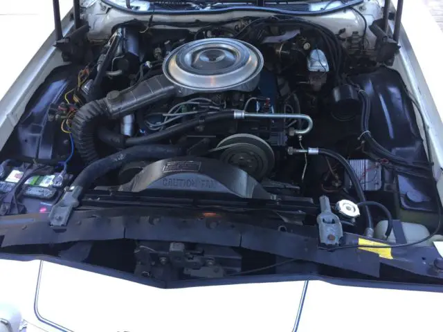 1979 ford thunderbird heritage - excellent condition