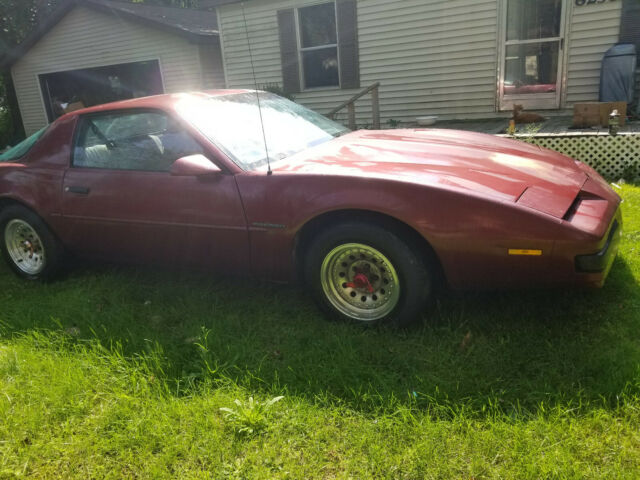 survivor 1989 firebird base coupe project car