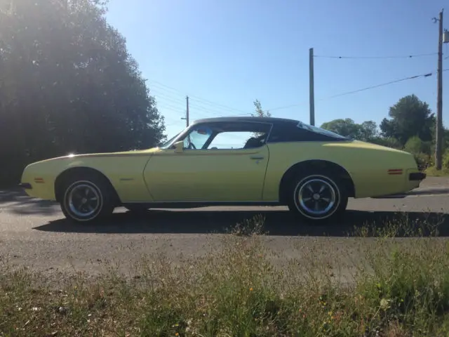 1974 pontiac firerbird esprit
