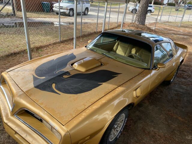 1978 pontiac firebird trans am coupe brown rwd manual y88