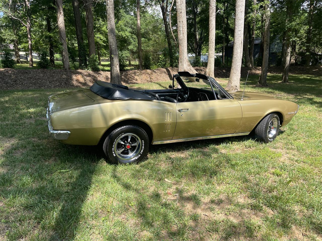 pontiac firebird