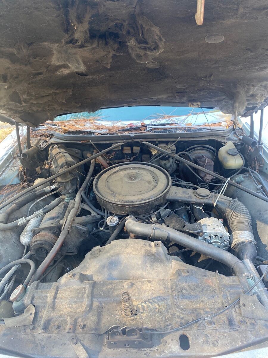 1975 oldsmobile 98 white rwd automatic