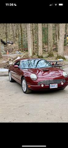 2004 ford thunderbird deluxe