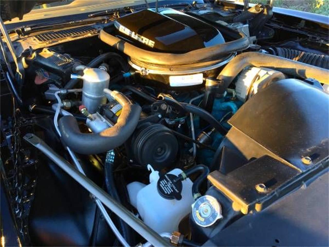 1979 pontiac firebird trans am