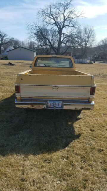 1979 chevrolet c-10 bonanza