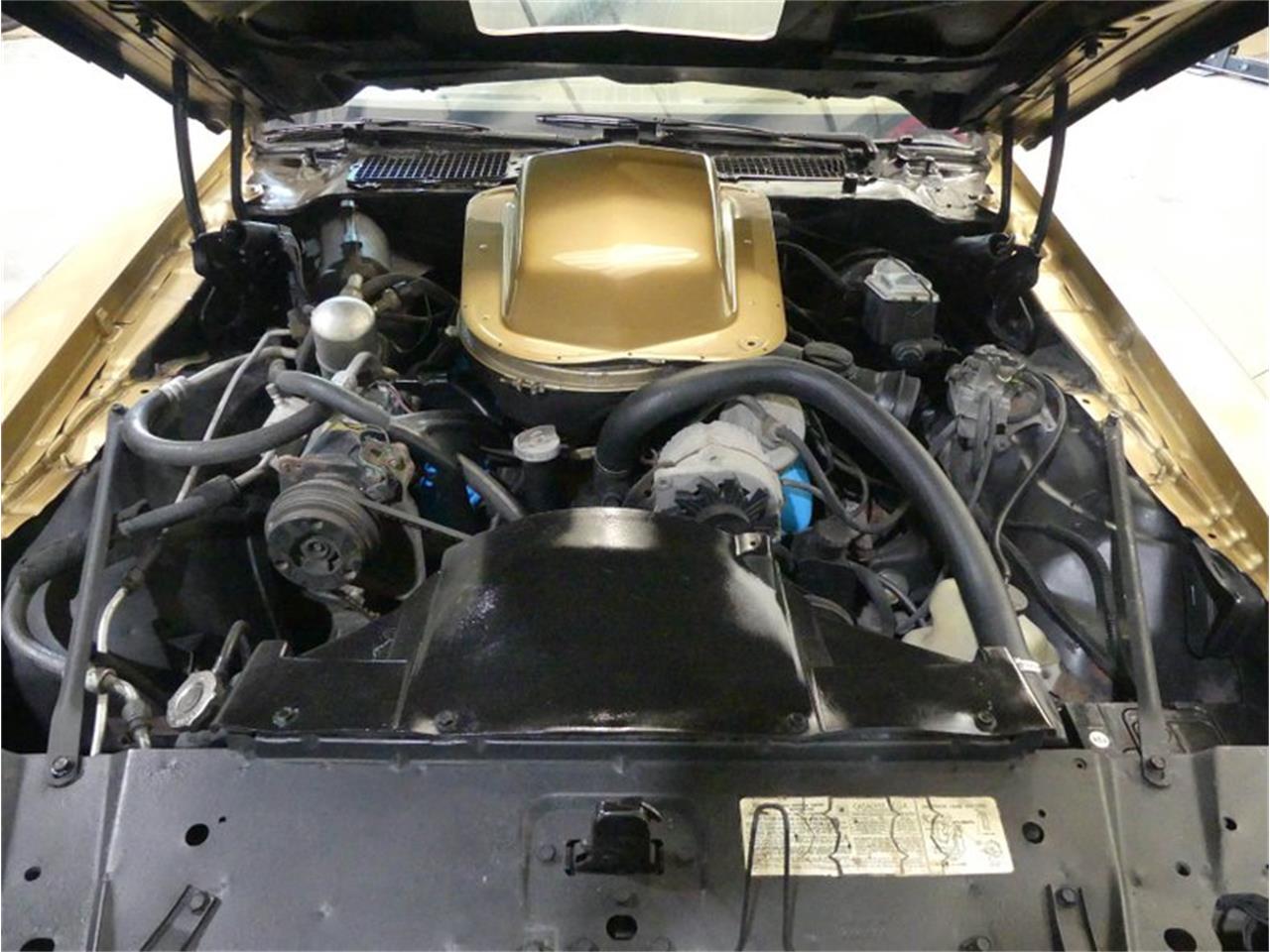1979 pontiac firebird trans am