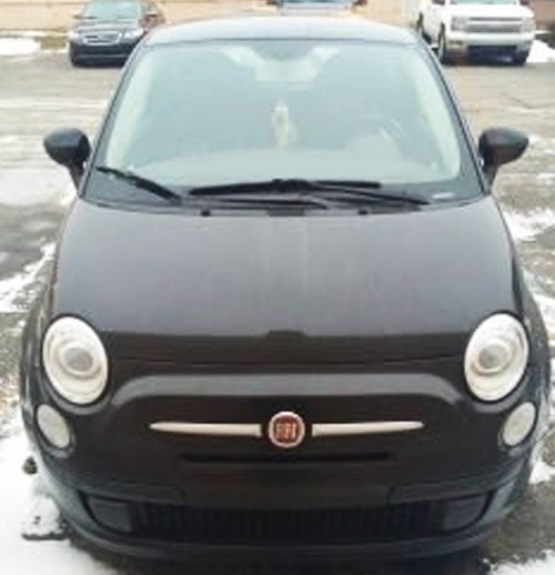2013 fiat 500 pop for sale in michigan by owner